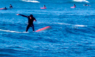 Alrededores del Spa Navitas - Punta de Lobos